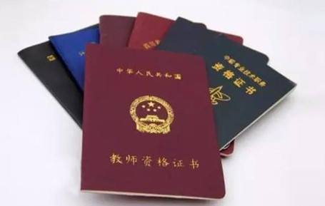小学教师资格证考试：小学教育知识与能力 教学资料